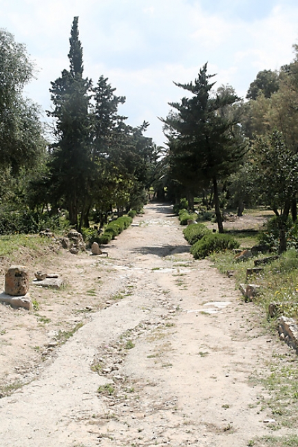 Tunis, Carthage-093